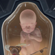 Illustration for article titled Everything You Need To Know About ‘Death Stranding’
